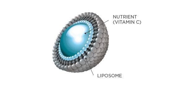 Coupe transversale d'un liposome