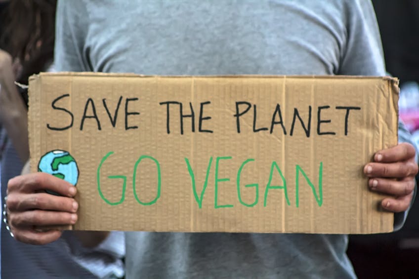 Sollten Sie sich der veganen Bewegung anschließen?