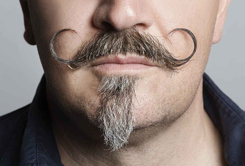 Die Rückkehr von Mighty Movember